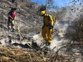 Bomberos contienen