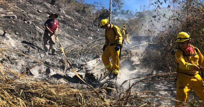 Bomberos contienen