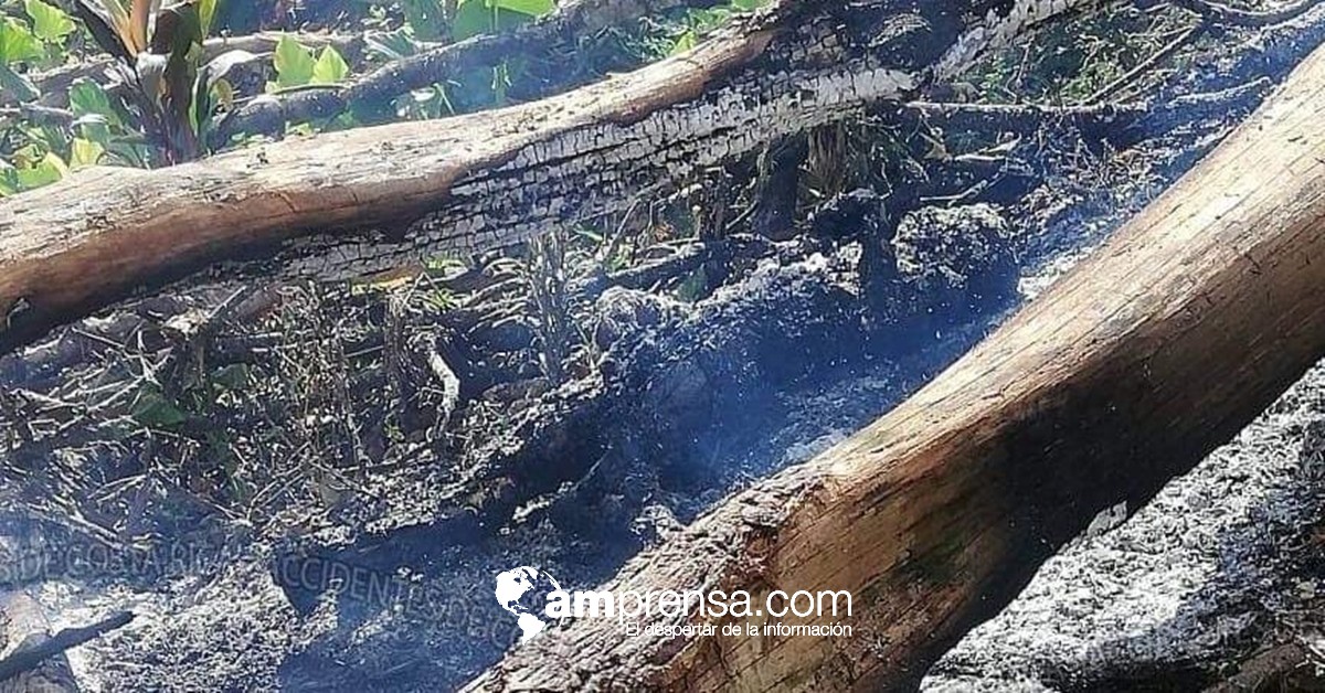 Encuentran Cuerpo Calcinado En Un Basurero En Limón | AMPrensa.com