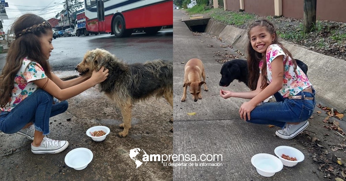 (Vídeo) Niña de San Carlos pide alimentar a perritos callejeros de regalo de cumpleaños
