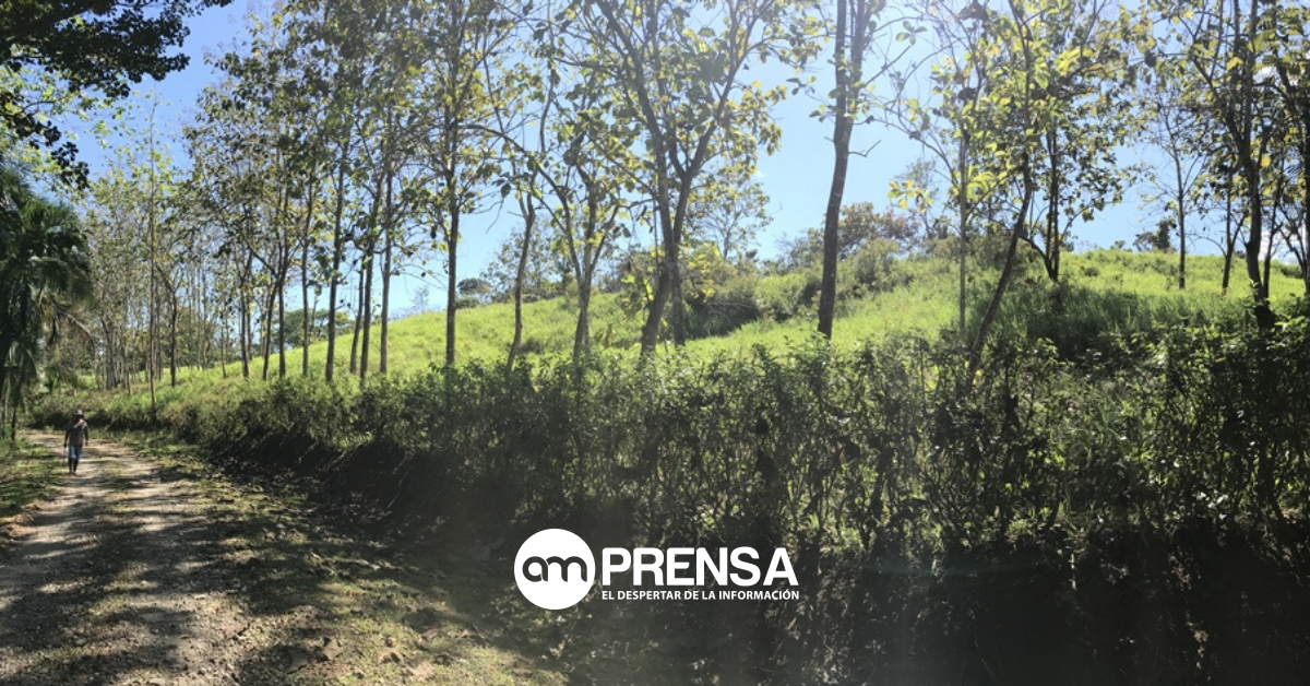 España dona fondos para la construcción de nuevo acueducto en Upala