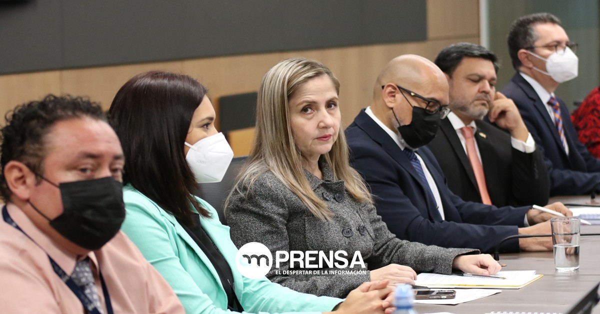 Experto advierte a diputados aumento de criminalidad en el país y sus consecuencias