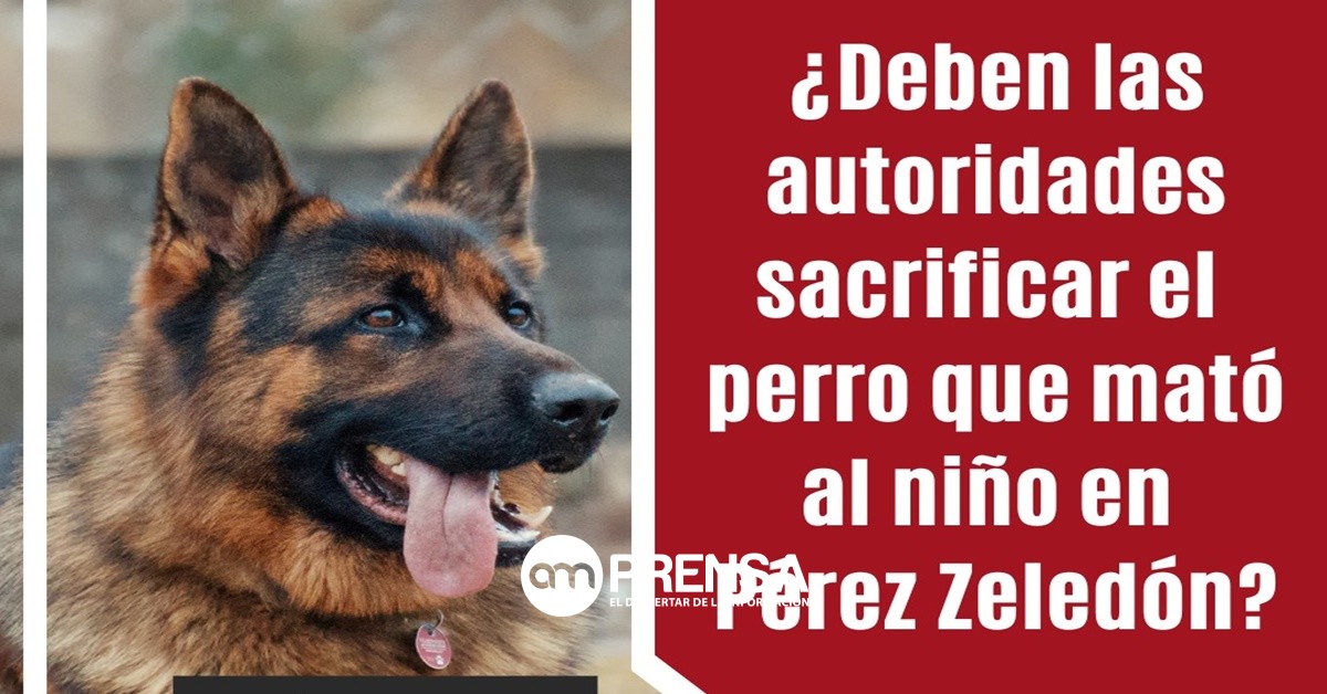 Ticos se oponen a que SENASA sacrifique el perro que mató a niño